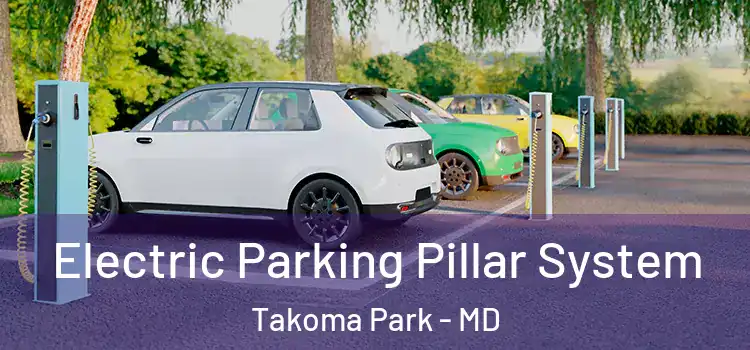  Electric Parking Pillar System Takoma Park - MD