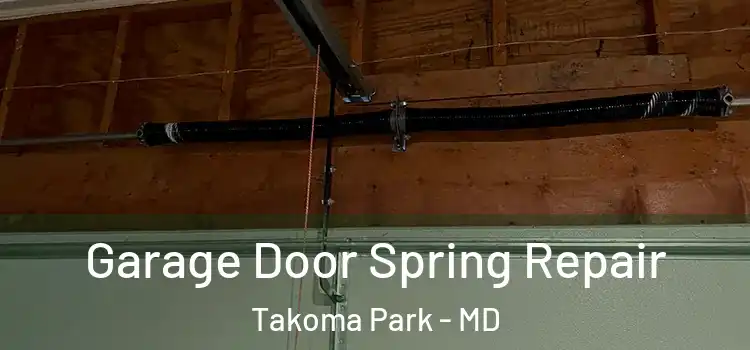  Garage Door Spring Repair Takoma Park - MD