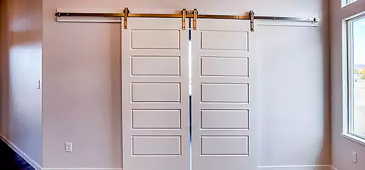 Glass Barn Door with Installation Hardware Kit Takoma Park