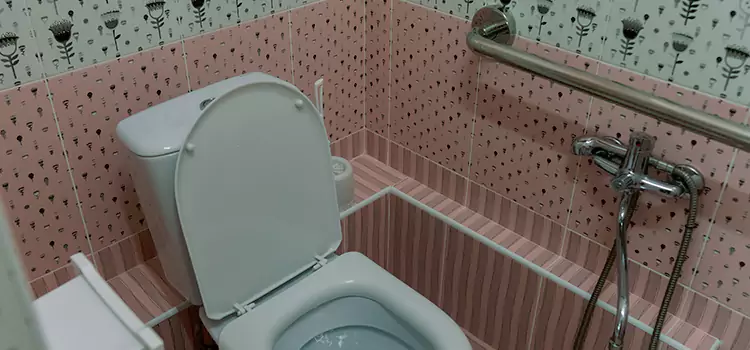Meeting Diverse Needs With Accessible Restroom Solutions in Takoma Park, MD