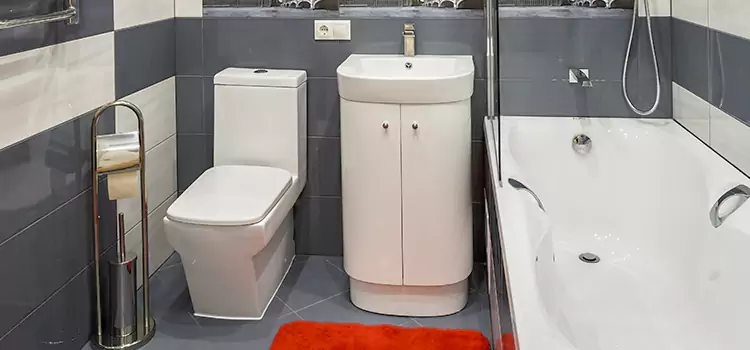 Hansgrohe Shaving Mirror Takoma Park